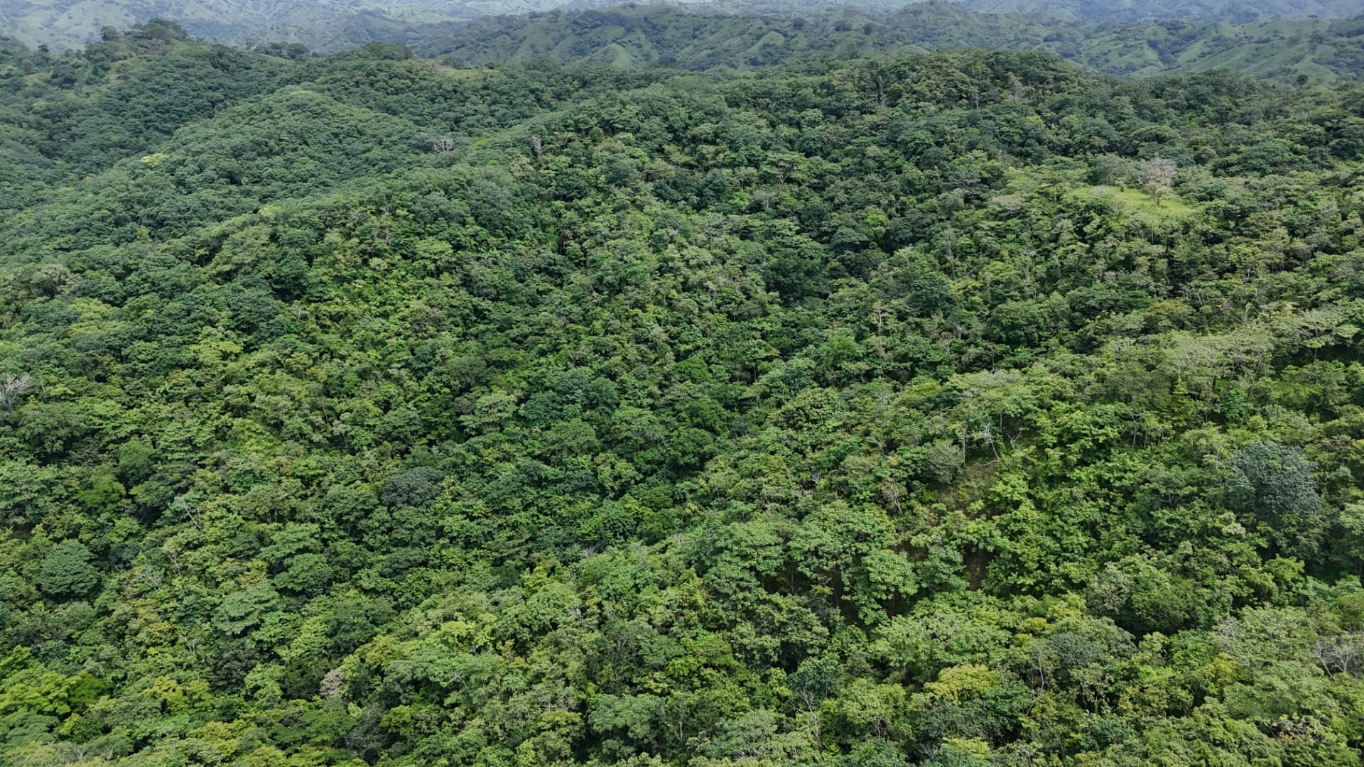 Aerial view across the forested Cañas Horizon land and surrounding hills in Panama